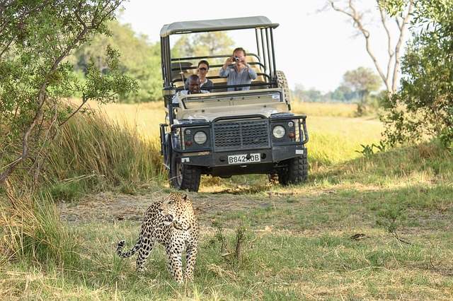 Uganda tour operator
