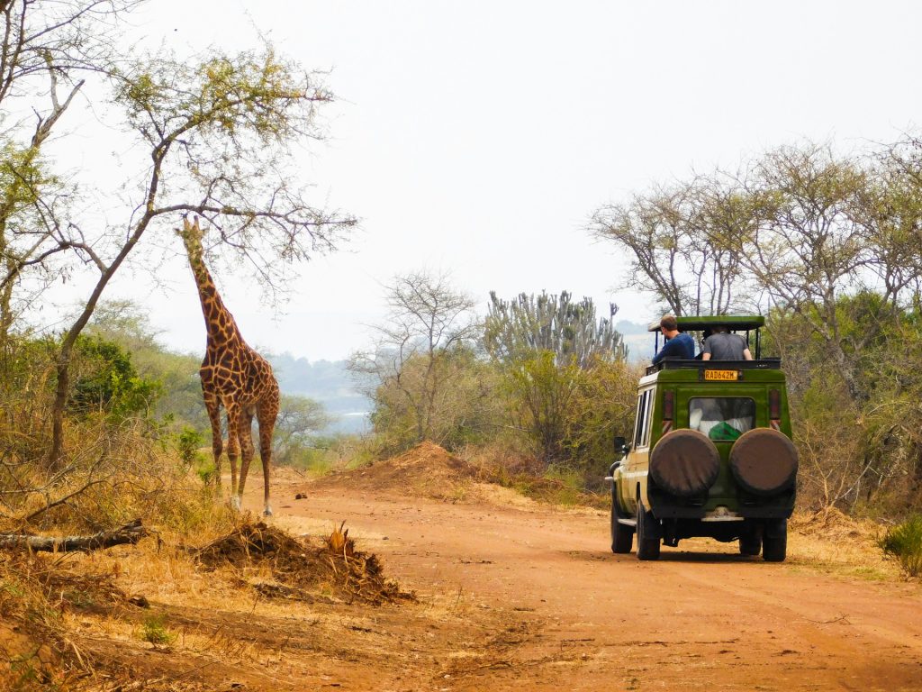 3-Day Akagera National Park Safari for Rwanda’s Big 5 Wildlife