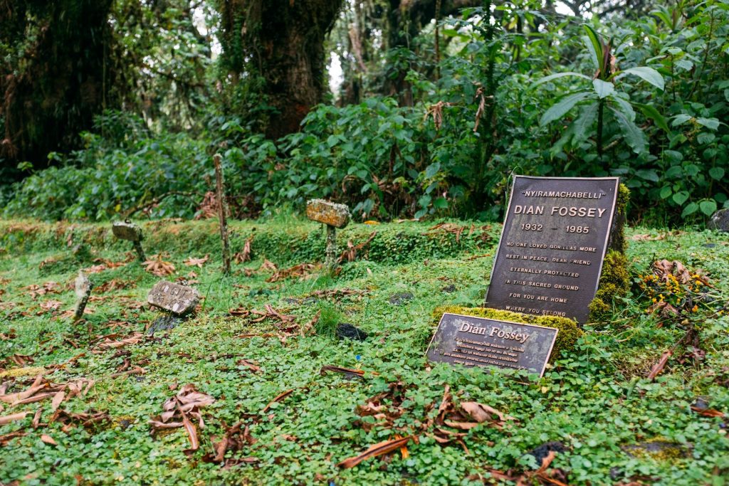 3-Day Rwanda Gorilla Trekking & Dian Fossey Grave Tour