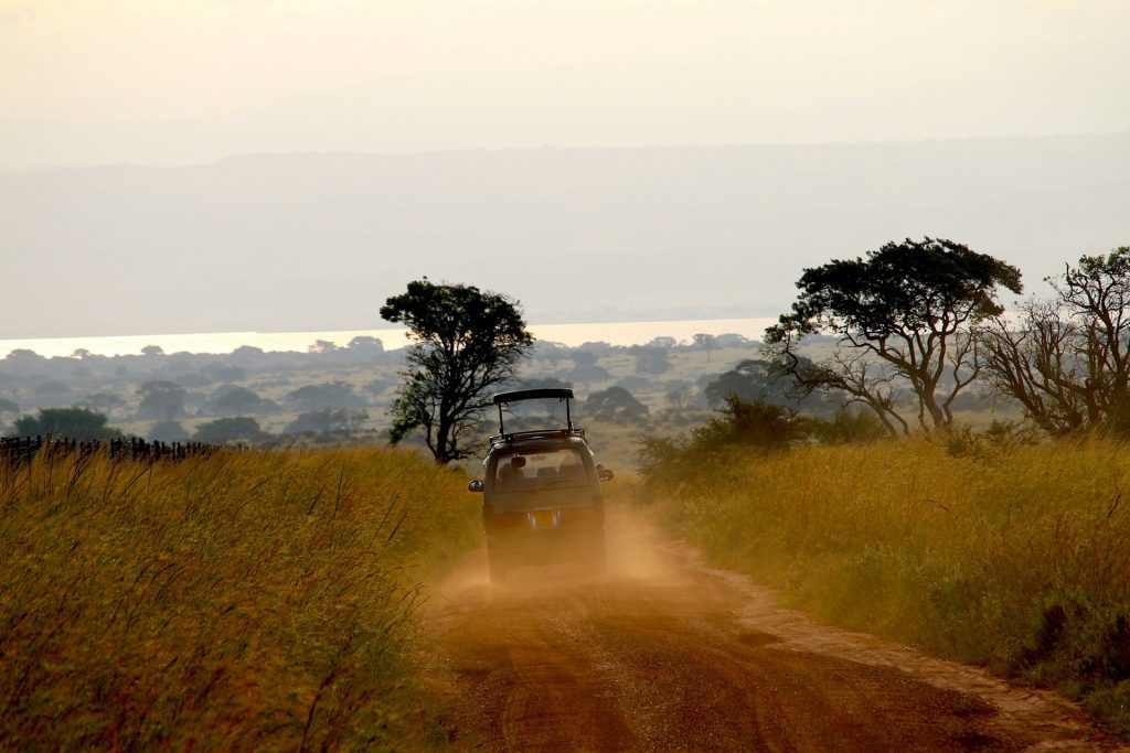 15-Day Ultimate Uganda Safari: Hiking, Wildlife & Birding Adventure