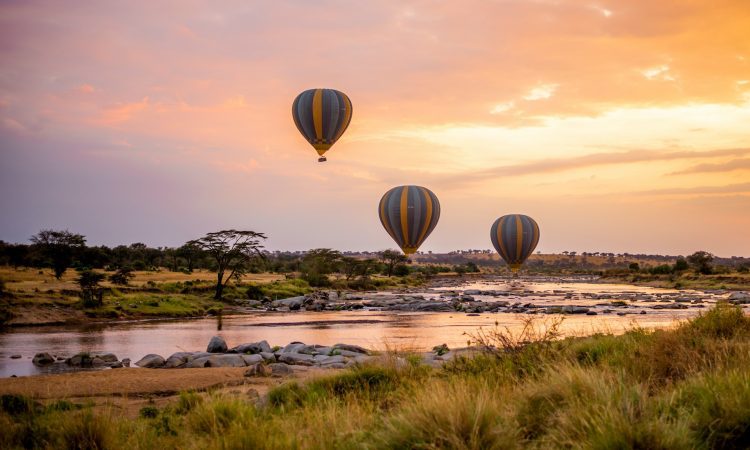 21-Day East Africa Safari: Gorilla Trekking, Big Five & Cultures