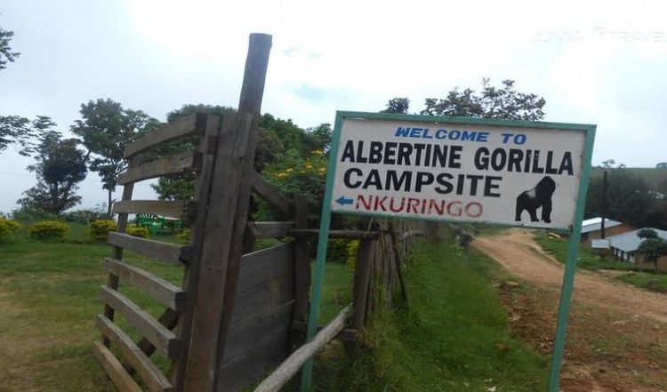 Albertine Gorilla Campsite