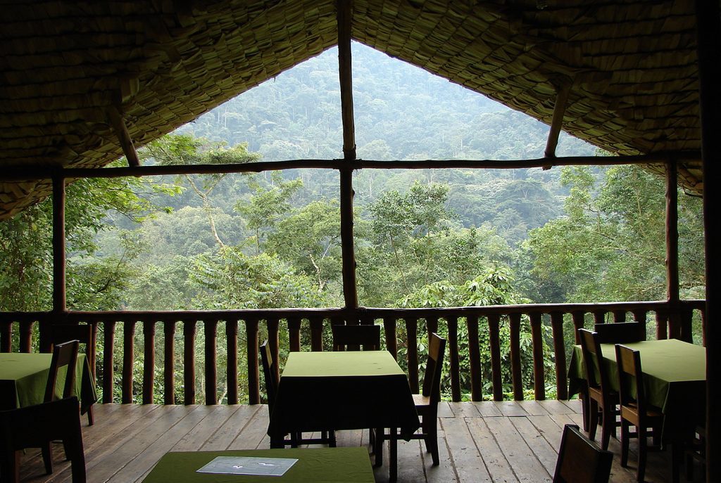 Buhoma Community Camp – Budget-Friendly Stay Near Bwindi Gorillas