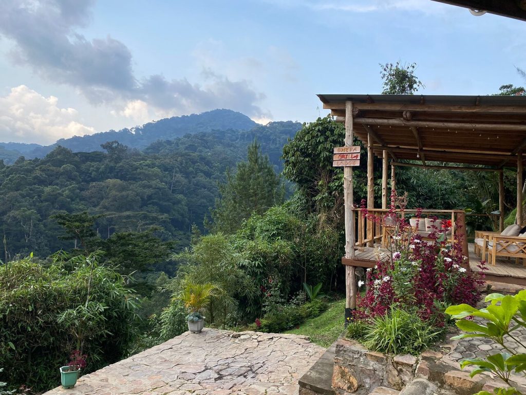 Bweza Gorilla Lodge – Ideal Wilderness Stay in Bwindi’s Rushaga Sector