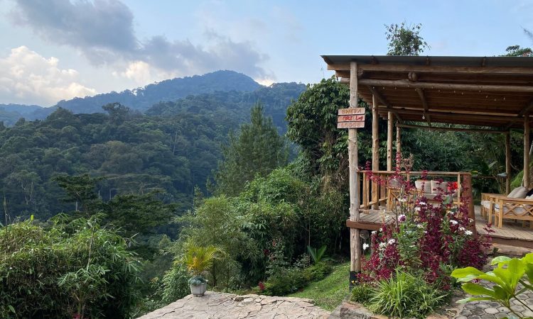 Bweza Gorilla Lodge – Ideal Wilderness Stay in Bwindi’s Rushaga Sector