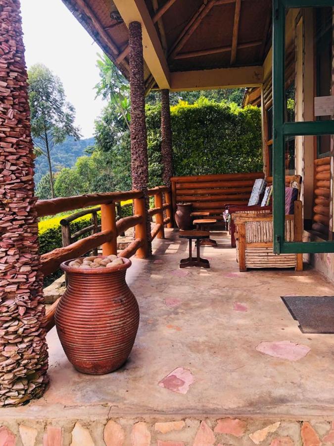 Bwindi Forest Lodge – Budget-Friendly Stay in the Heart of Bwindi Forest