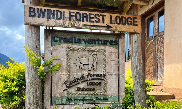 Bwindi Forest Lodge – Budget-Friendly Stay in the Heart of Bwindi Forest