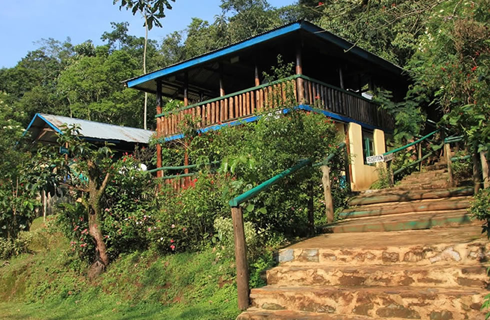 Bwindi View Bandas