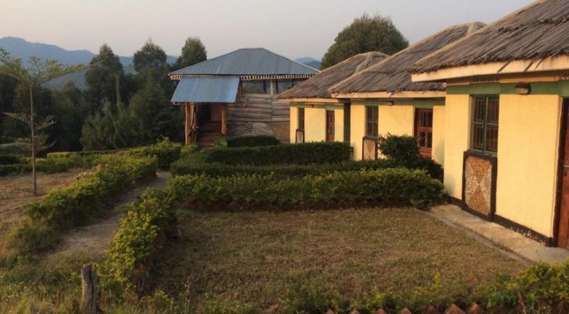 Eco Marvels Gorilla Lodge – Stay Between Buhoma and Ruhija in Bwindi