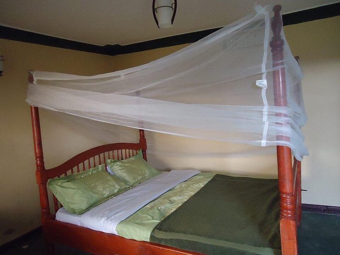 Eco Marvels Gorilla Lodge – Stay Between Buhoma and Ruhija in Bwindi