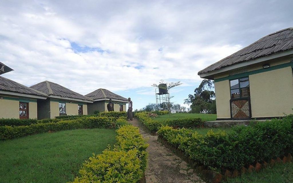 Eco Marvels Gorilla Lodge – Stay Between Buhoma and Ruhija in Bwindi