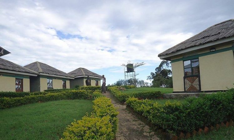 Eco Marvels Gorilla Lodge – Stay Between Buhoma and Ruhija in Bwindi