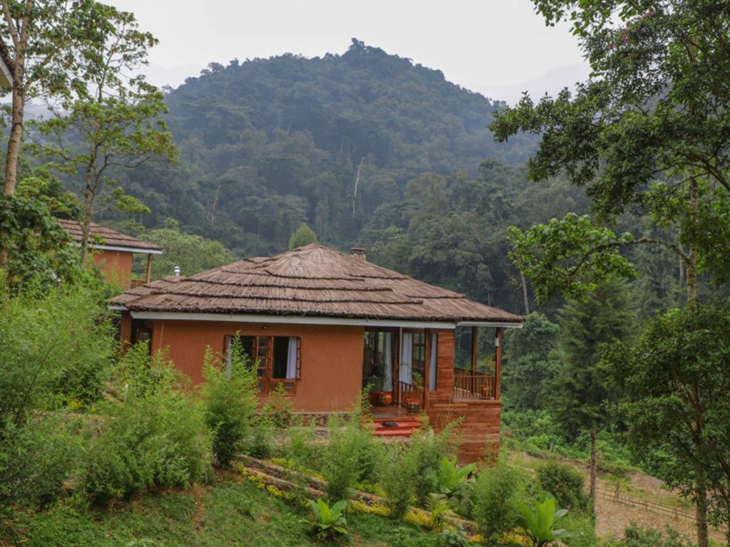 Four Gorillas Lodge – Luxury Stay Near Bwindi's Rushaga Gorilla Treks