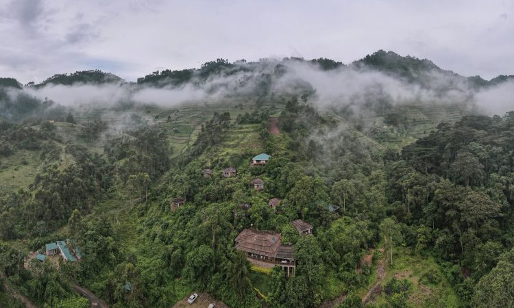 Four Gorillas Lodge – Luxury Stay Near Bwindi's Rushaga Gorilla Treks