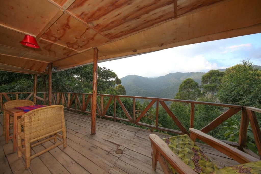 Gorilla Close-Up Lodge – Unique Safari Stay in Bwindi’s Nkuringo Sector