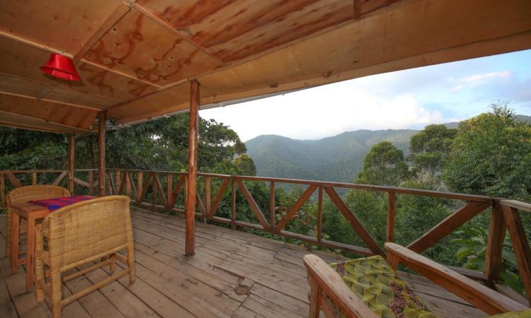 Gorilla Close-Up Lodge – Unique Safari Stay in Bwindi’s Nkuringo Sector