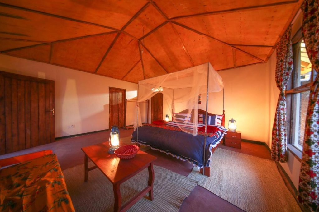 Gorilla Close-Up Lodge – Unique Safari Stay in Bwindi’s Nkuringo Sector