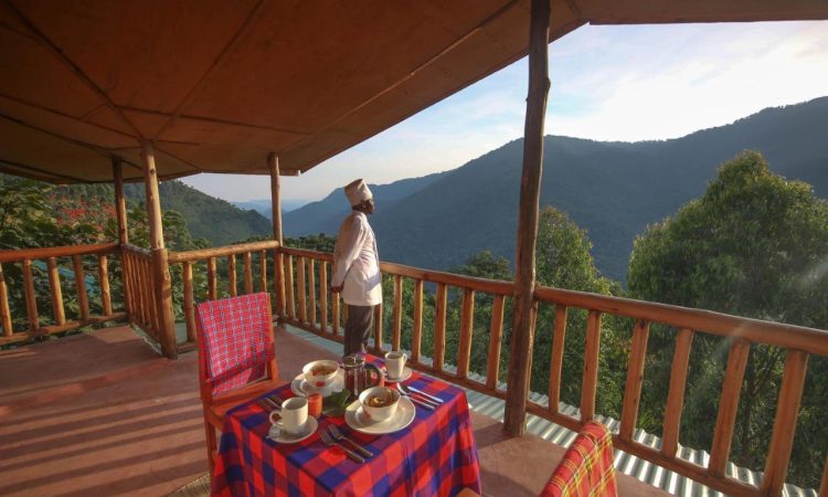 Gorilla Close-Up Lodge – Unique Safari Stay in Bwindi’s Nkuringo Sector