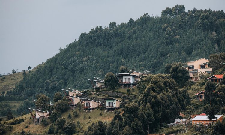 Gorilla Heights Lodge – Luxurious Stays in Bwindi’s Nkuringo Sector