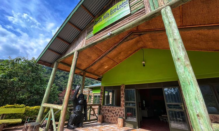Gorilla Hills Eco Lodge – Eco-Friendly Comfort in Bwindi