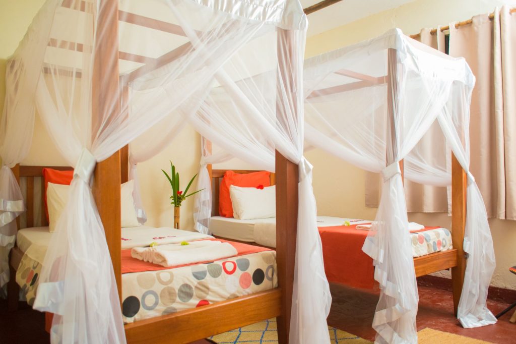 Gorilla Valley Lodge – Comfort and Wildlife Encounters in Bwindi