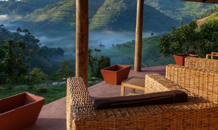 Gorilla Valley Lodge – Comfort and Wildlife Encounters in Bwindi