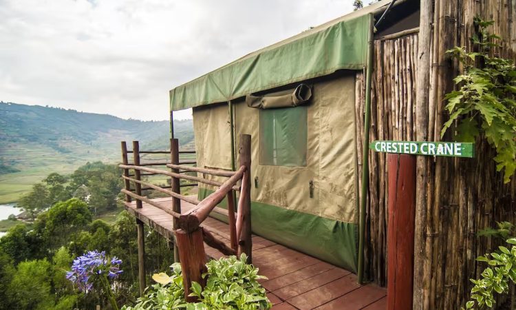 Hawk’s Eye Lodge – Stay with Lake Bunyonyi Views Near Bwindi