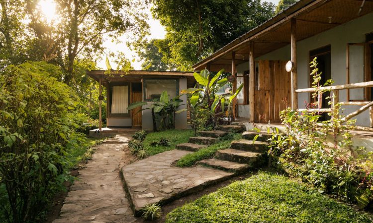 Karungi Camp – Budget-Friendly Base for Gorilla Treks in Bwindi