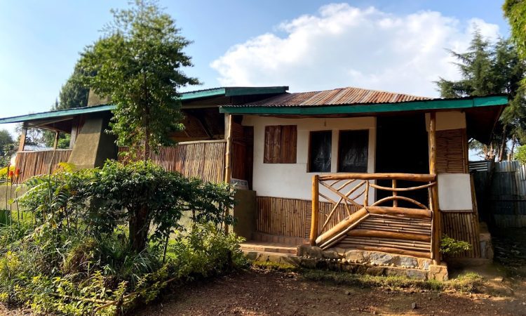 Ruhija Community Rest Camp – Affordable Stay Near Bwindi’s Gorilla Trails