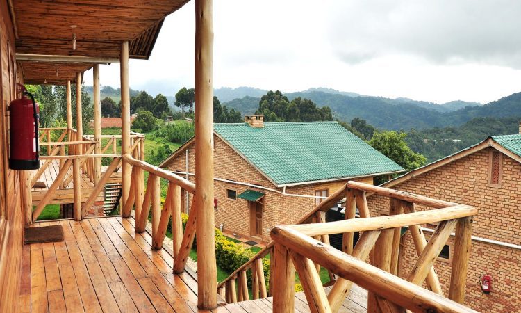 Ruhija Gorilla Guest House – Comfortable Stay for Bwindi Gorilla Treks