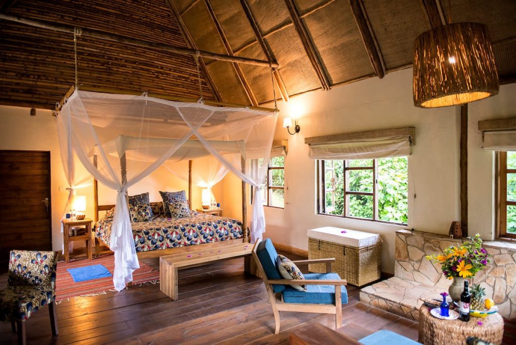 Volcanoes Bwindi Lodge – Luxury Stay in Bwindi’s Buhoma Sector