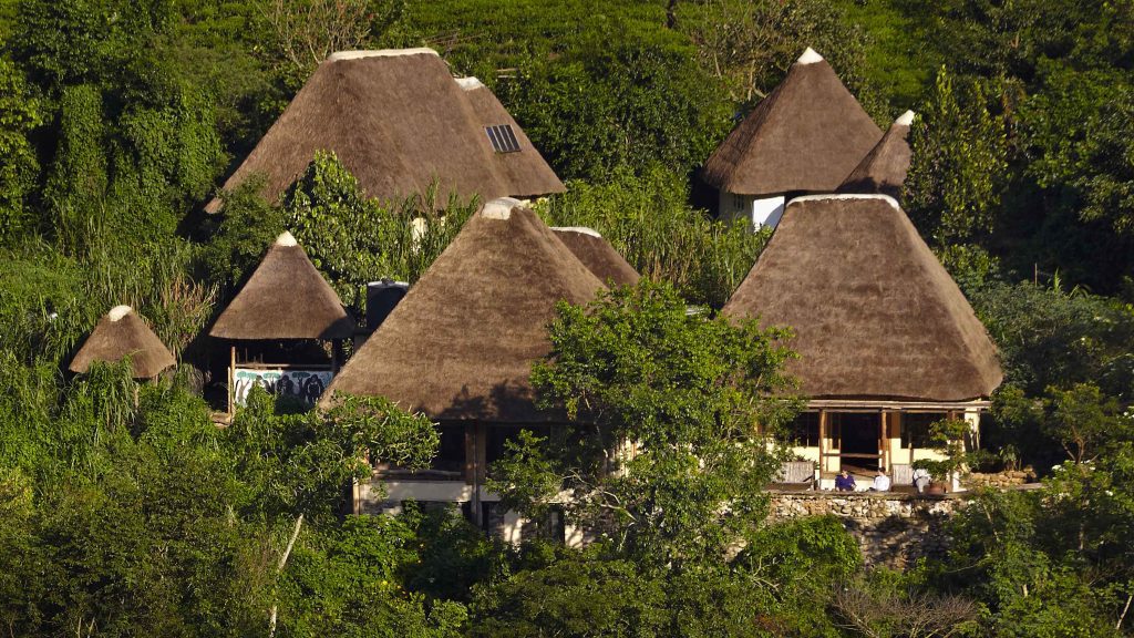 Volcanoes Bwindi Lodge – Luxury Stay in Bwindi’s Buhoma Sector