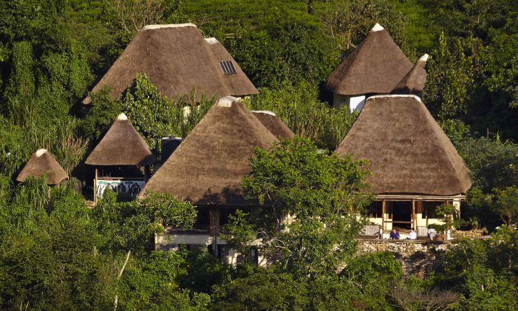 Volcanoes Bwindi Lodge – Luxury Stay in Bwindi’s Buhoma Sector