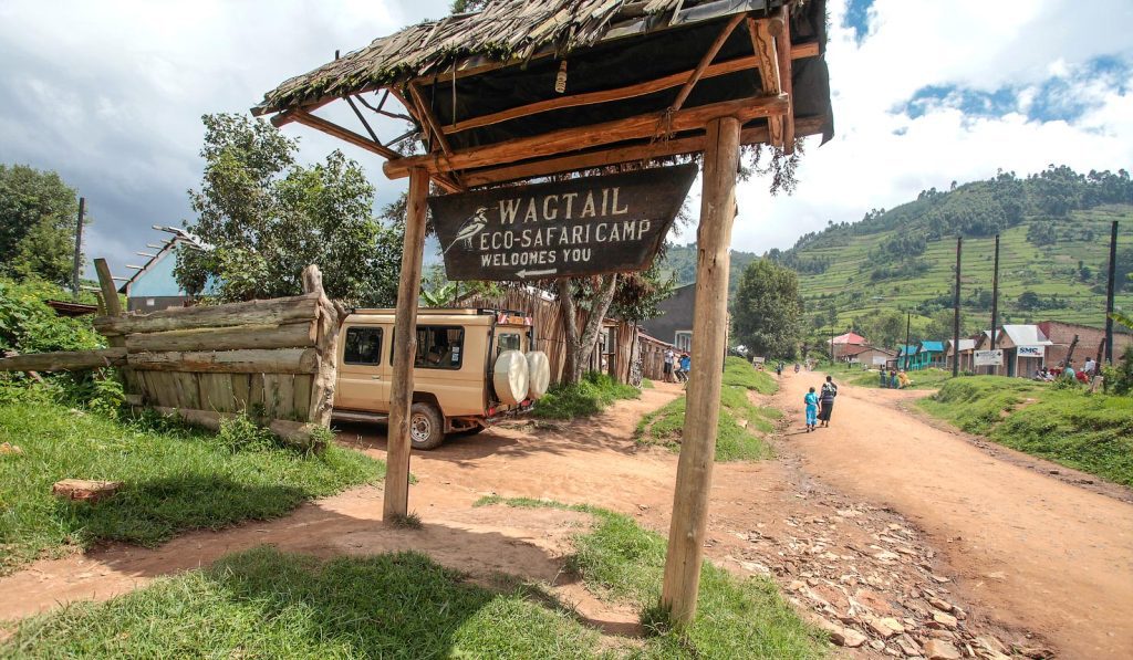 Wagtail Safari Lodge – Comfortable Stay for Bwindi Gorilla Treks