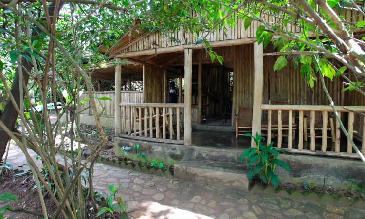 Wagtail Safari Lodge