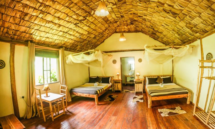 Buhoma Gorilla Camp – Comfortable Stay Near Bwindi's Trekking Trails