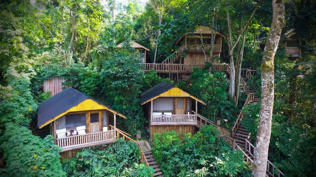 Buhoma Lodge – Exclusive Gorilla Trekking Retreat in Bwindi