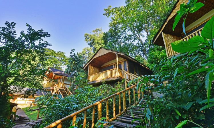 Buhoma Lodge – Exclusive Gorilla Trekking Retreat in Bwindi
