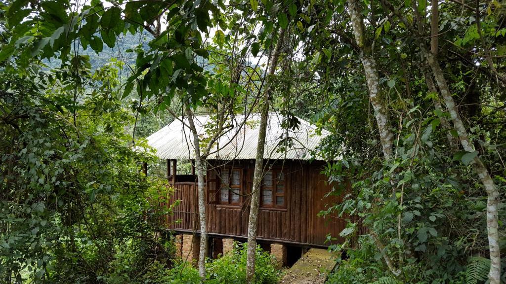 Bwindi Guest House – Budget-Friendly Stay Supporting Local Community