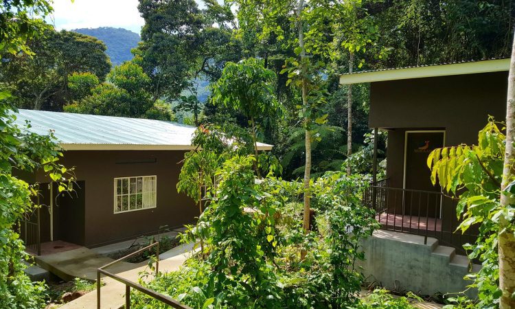 Bwindi Guest House – Budget-Friendly Stay Supporting Local Community
