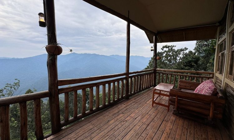Bwindi Orugano Lodge – Cozy Base for Gorilla Treks in Nkuringo