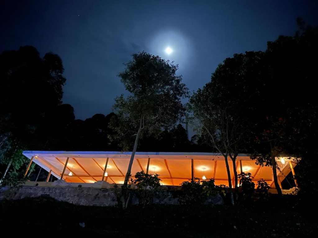 CTPH Gorilla Conservation Camp – Eco-Friendly Stay in Bwindi’s Buhoma Sector