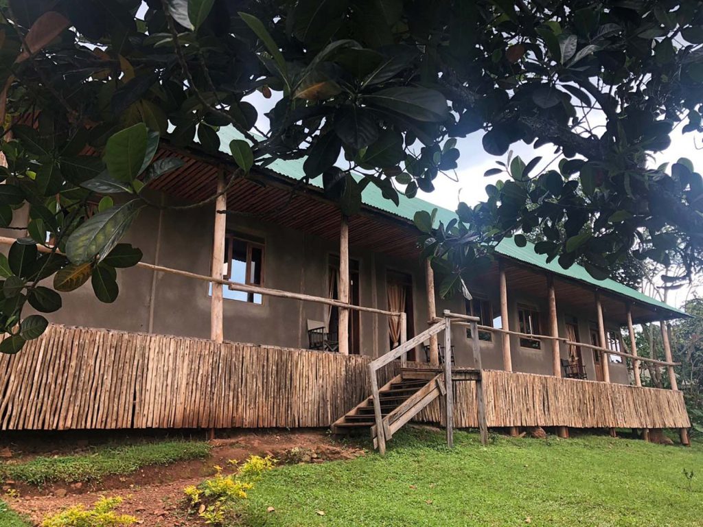CTPH Gorilla Conservation Camp – Eco-Friendly Stay in Bwindi’s Buhoma Sector