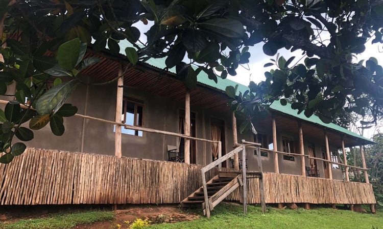 CTPH Gorilla Conservation Camp – Eco-Friendly Stay in Bwindi’s Buhoma Sector