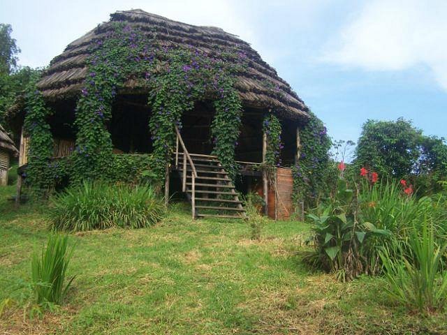 Cuckooland Tented Lodge – Comfortable Eco-Lodge in Bwindi’s Ruhija Sector