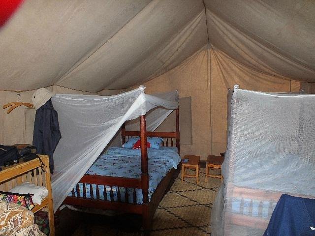 Cuckooland Tented Lodge – Comfortable Eco-Lodge in Bwindi’s Ruhija Sector