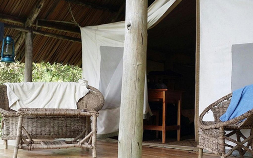 Cuckooland Tented Lodge – Comfortable Eco-Lodge in Bwindi’s Ruhija Sector