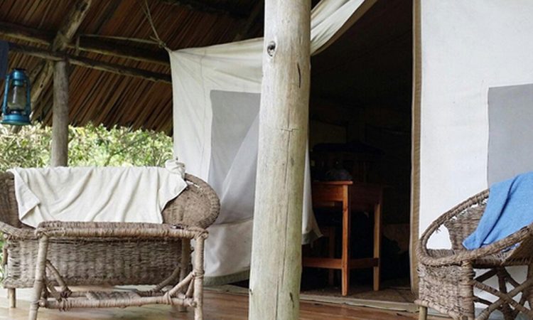 Cuckooland Tented Lodge – Comfortable Eco-Lodge in Bwindi’s Ruhija Sector