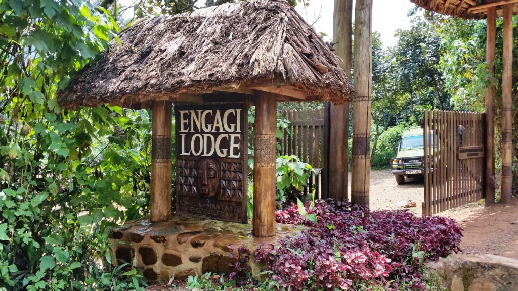 Engagi Lodge – Tranquil Safari Lodge in Bwindi’s Buhoma Sector