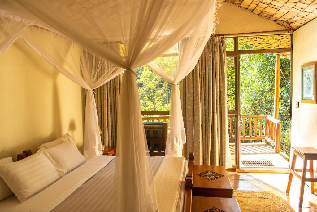 Engagi Lodge – Tranquil Safari Lodge in Bwindi’s Buhoma Sector